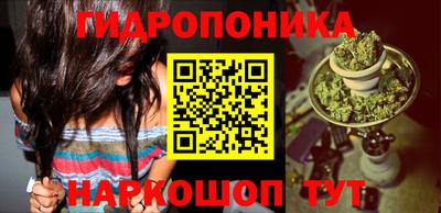 a pvp Гатчина