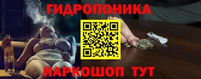 a pvp Гатчина